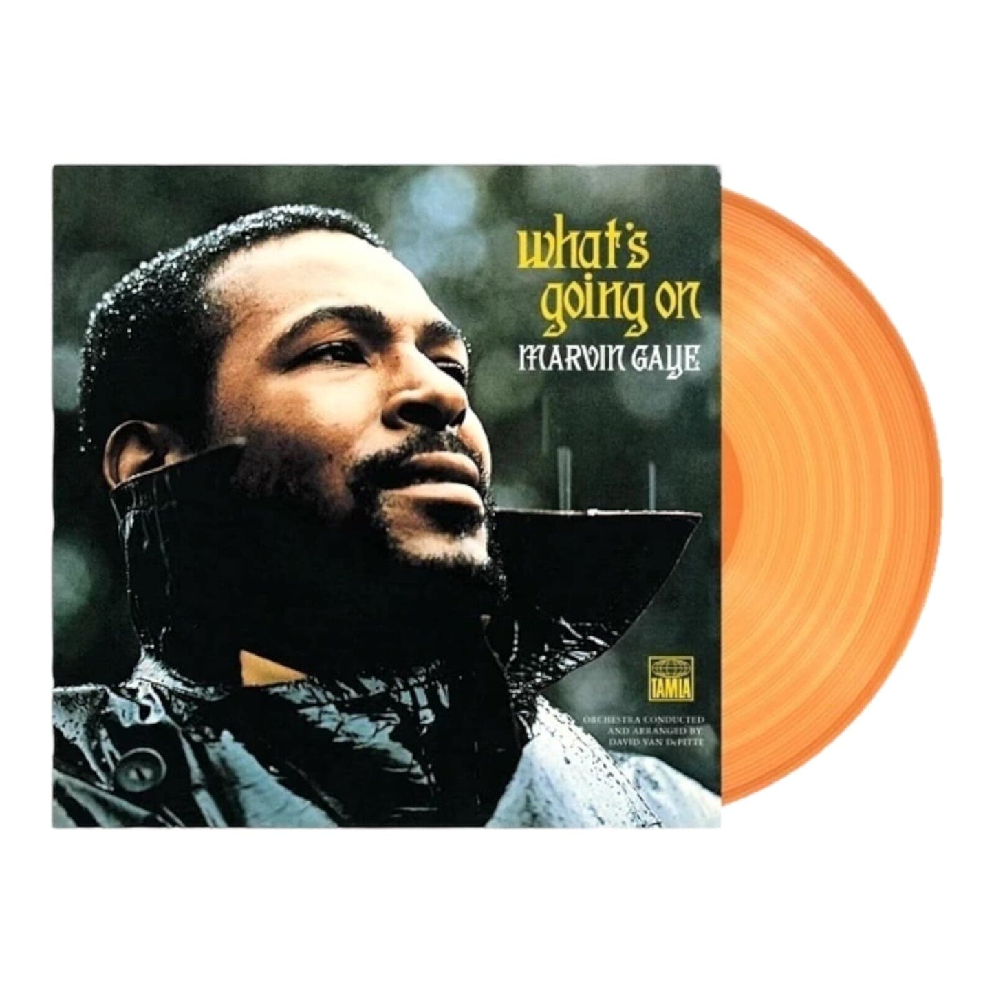 Orange Vinyl