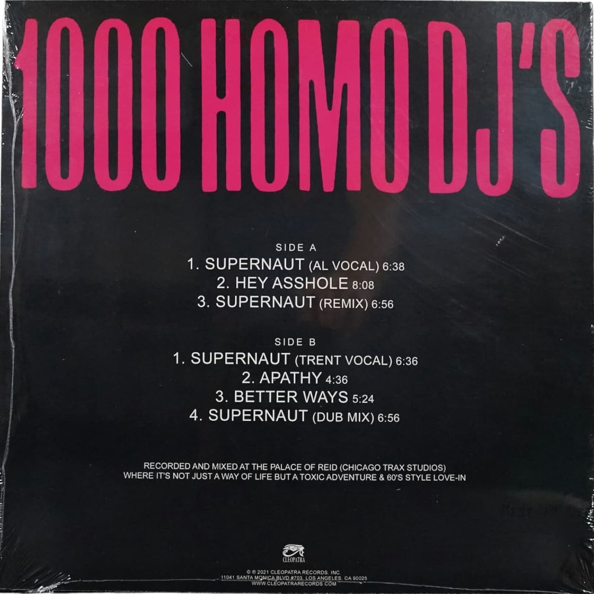 1000-Homo-DJs-Supernaut-2.jpg