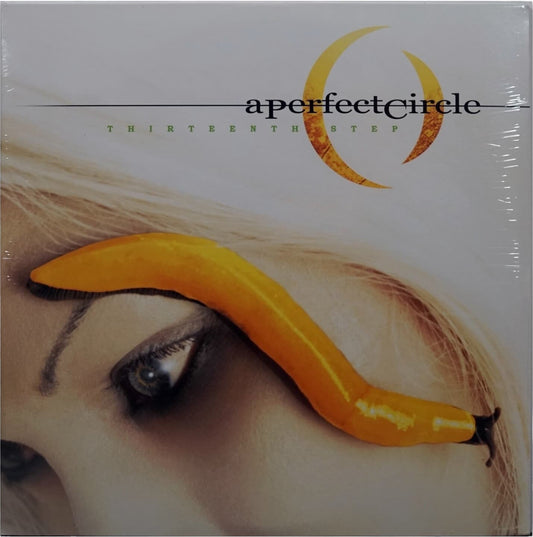 A Perfect Circle: Thirteenth Step