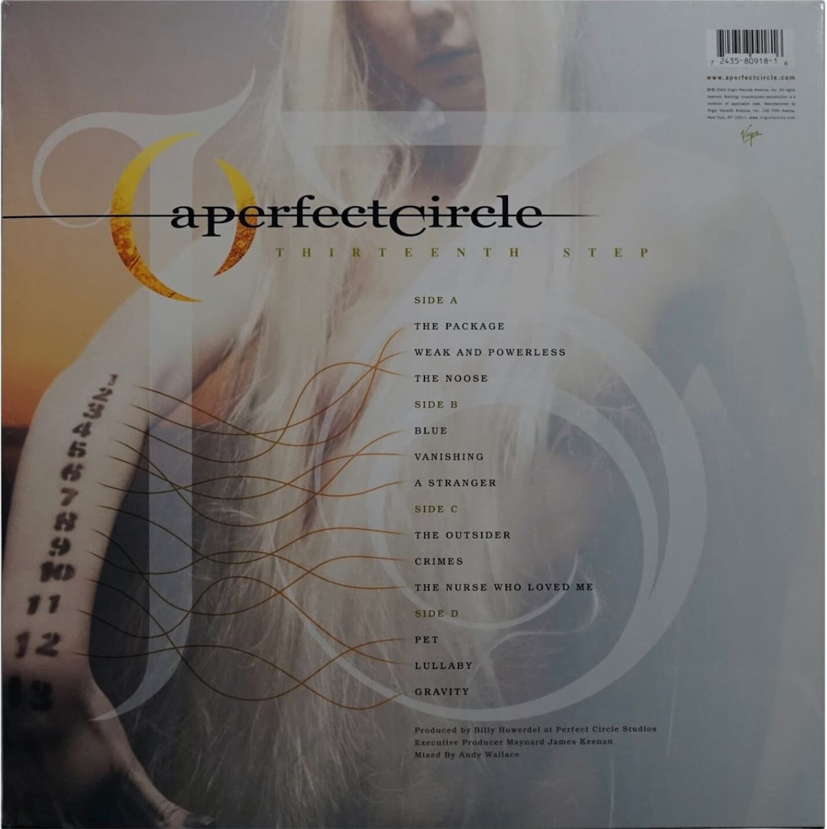 A-Perfect-Circle-Thirteenth-Step-2.jpg