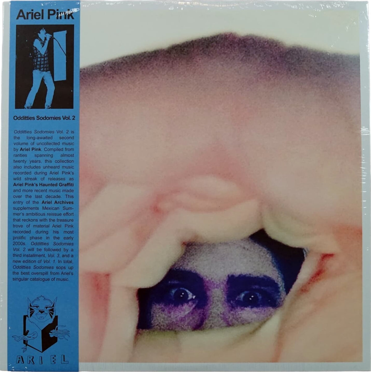 Ariel-Pink's-Haunted-Graffiti-Odditties-Sodomies-Vol.-2-1.jpg