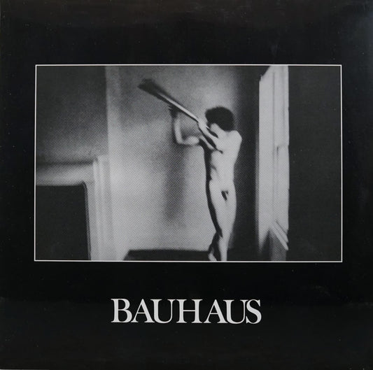 Bauhaus: In The Flat Field