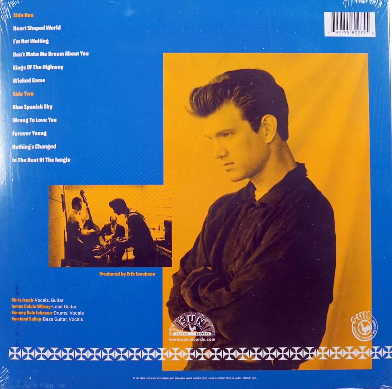 Black Vinyl