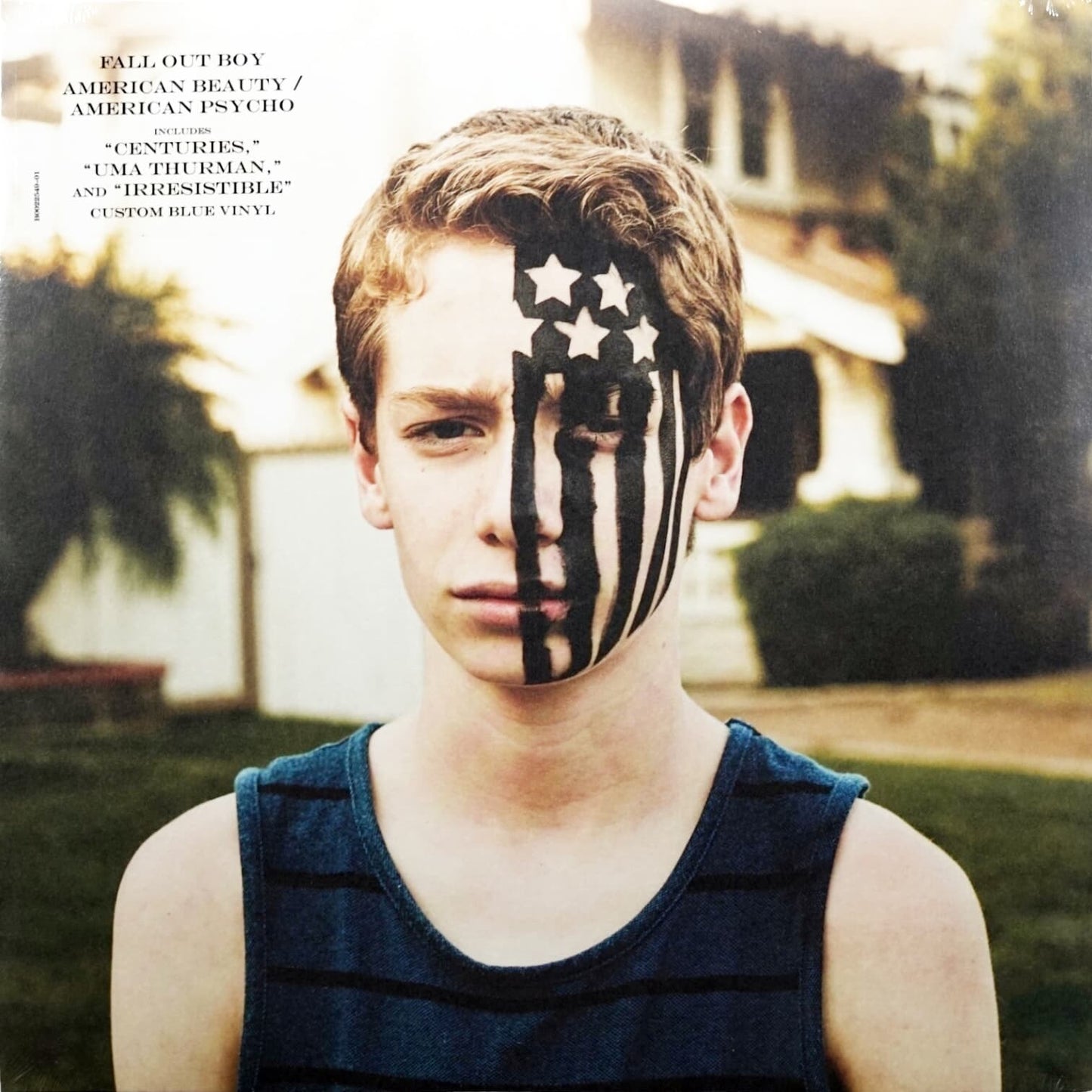 Black Vinyl