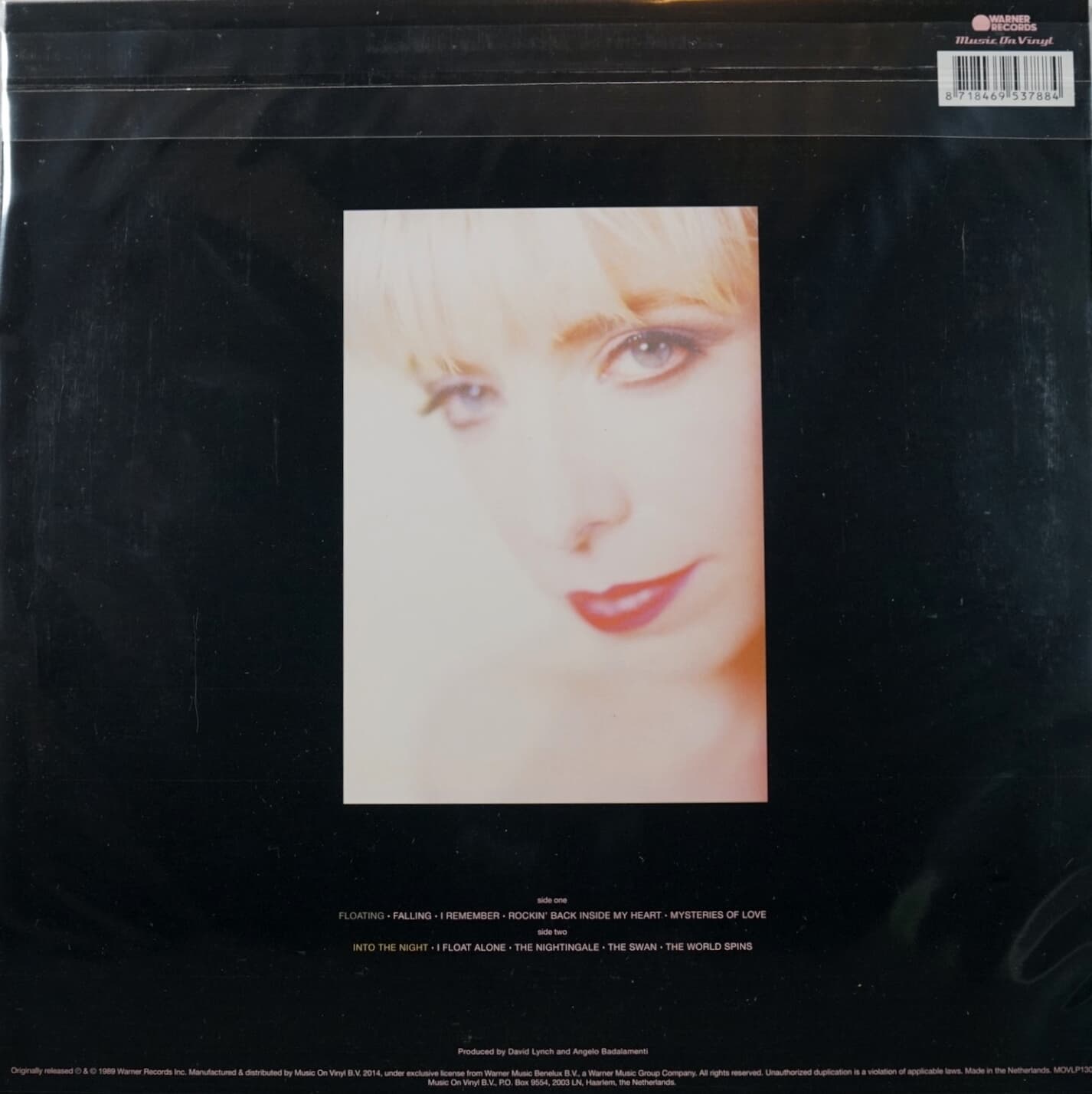 Black Vinyl