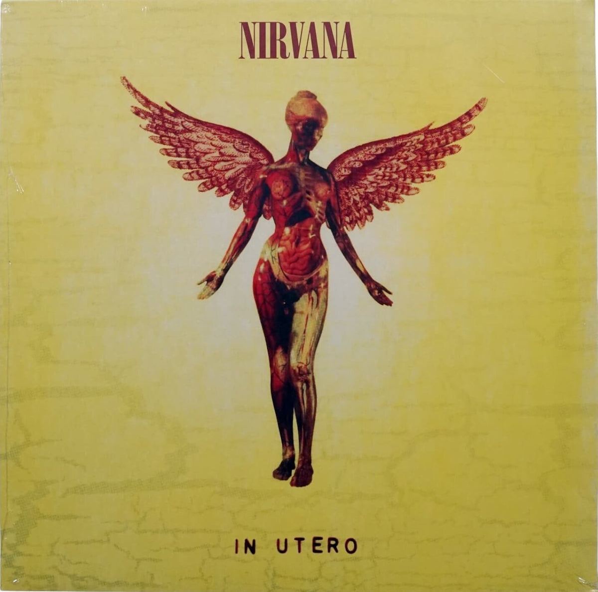 Nirvana-In-Utero-1.jpg
