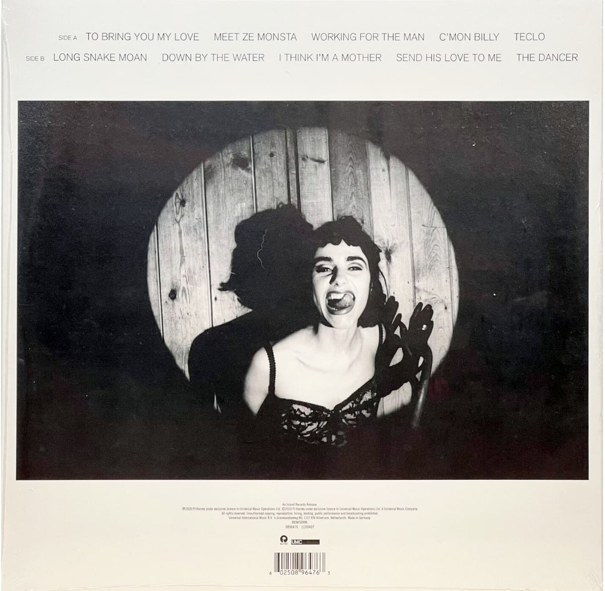 PJ-Harvey-To-Bring-You-My-Love---Demos-2.jpg