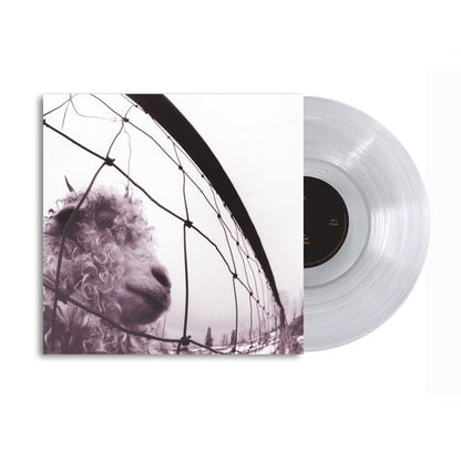 Clear Vinyl