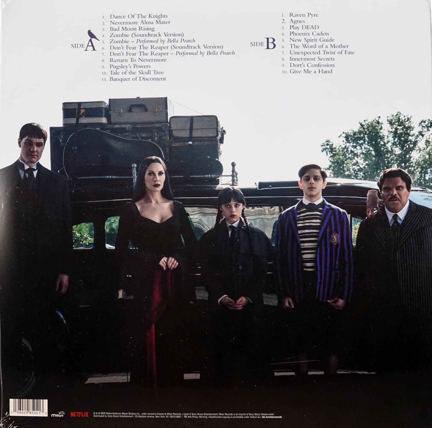 Purple & Black Vinyl